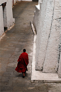 Monnik in wit klooster (Punakha Dzong)